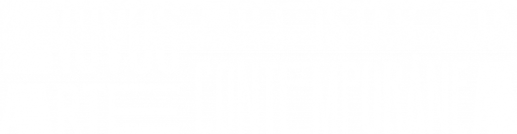 Novos Artistas da Arte Contemporânea